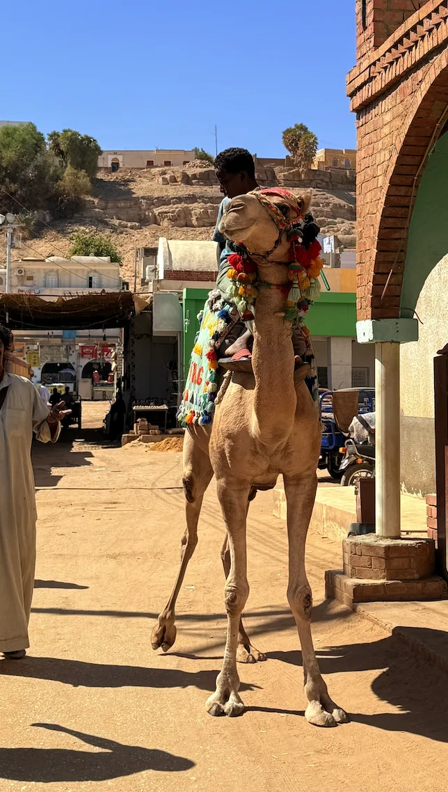 Nuestro viaje a Egipto - a2travelers