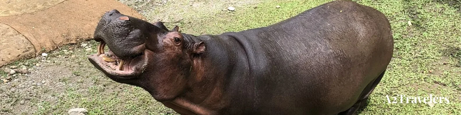 Guía definitiva para viajar a Colombia: Todo lo que necesitas saber