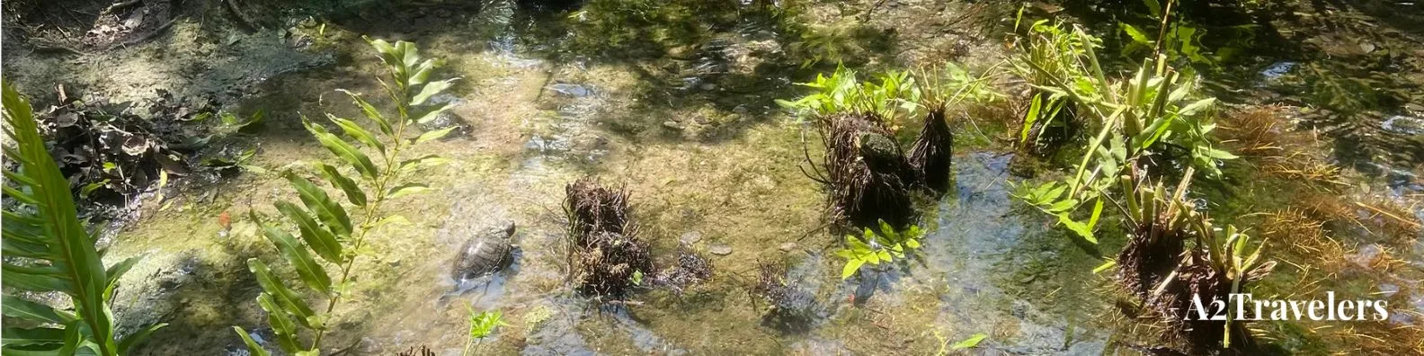Ruta por Riviera Maya en 8 o 10 días