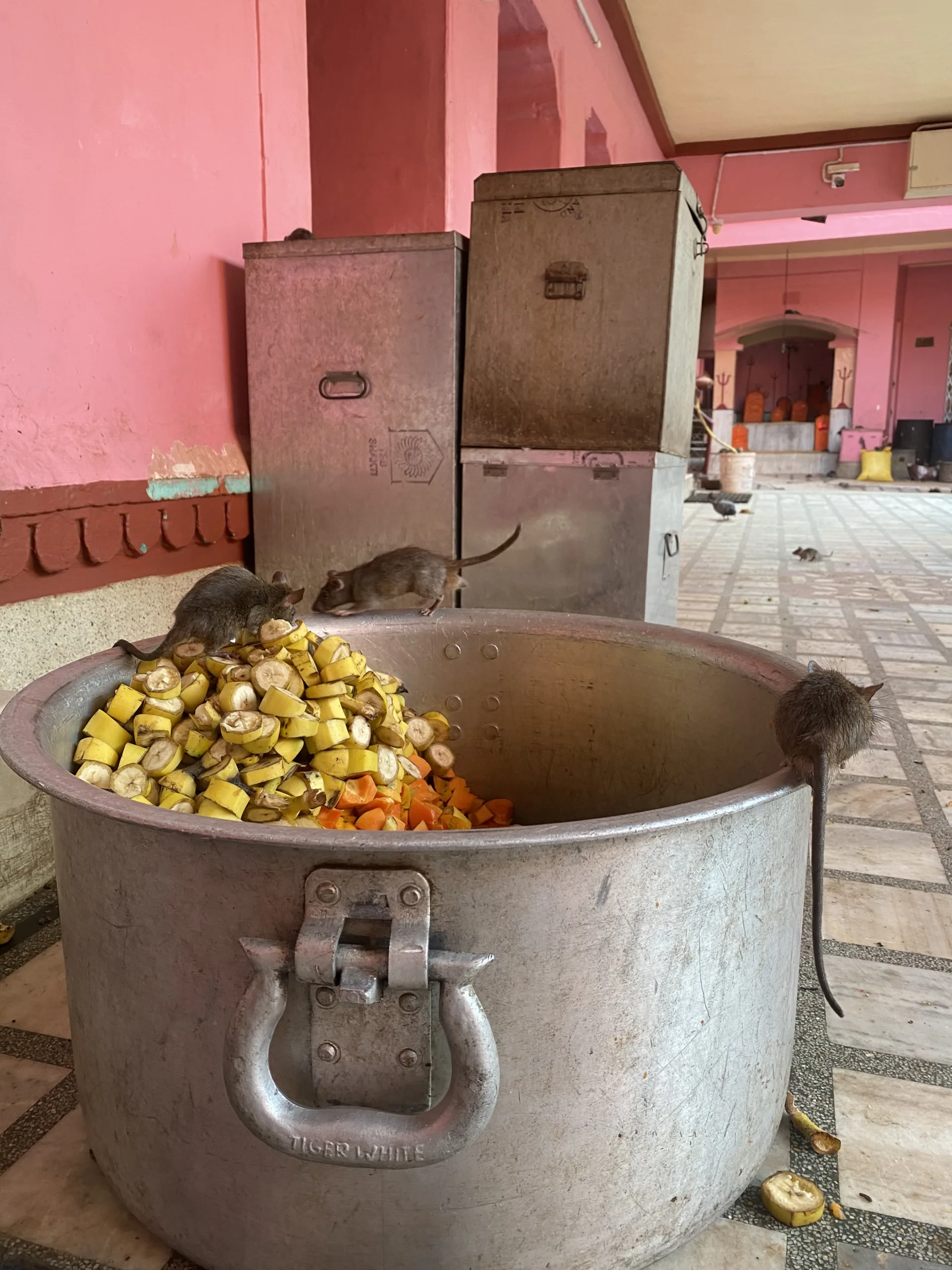 Nuestro viaje a la India - a2travelers