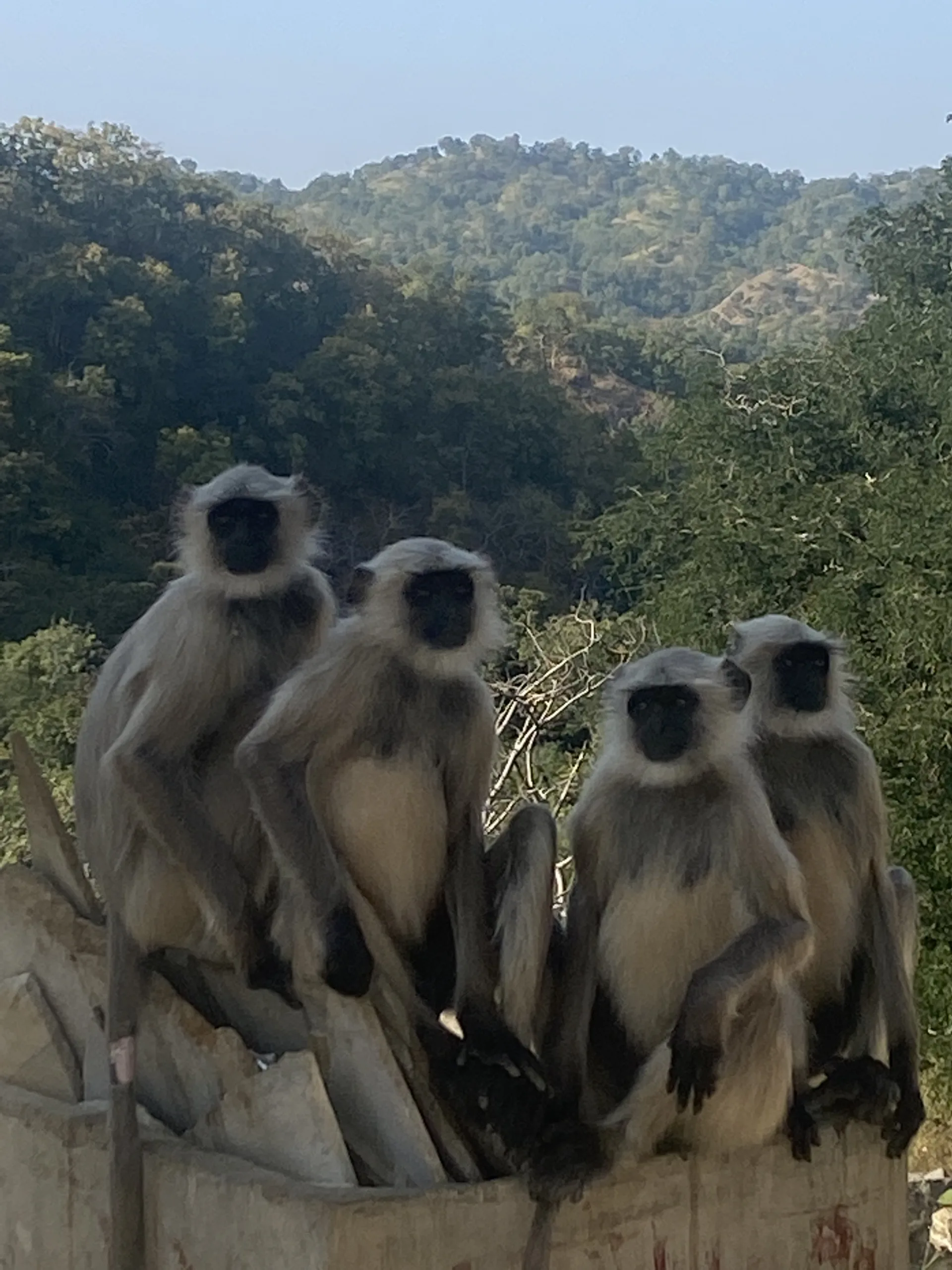 Nuestro viaje a la India - a2travelers